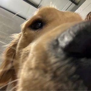 Meet your Posher, Katelyn